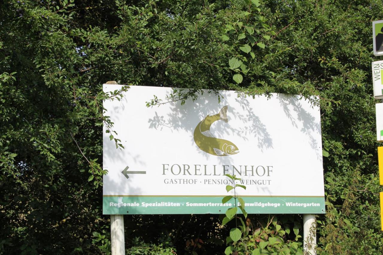 Ferienwohnung Forellenhof Oberschwarzach Ngoại thất bức ảnh